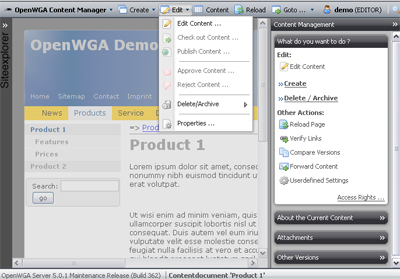 Java 内容管理系统 OpenWGA